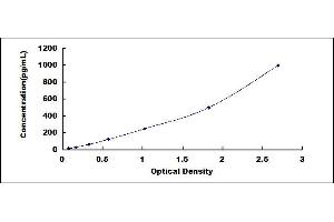 Uromodulin (UMOD) ELISA Kit