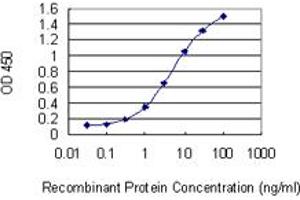 Detection limit for recombinant GST tagged TIPIN is 0. (TIPIN 抗体  (AA 1-301))
