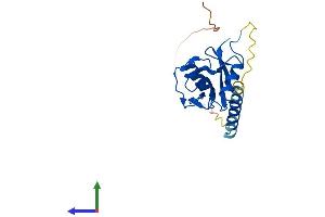 Protein Structure (PS) image for CD69 (CD69) (AA 1-199) protein (His tag) (ABIN7553157)