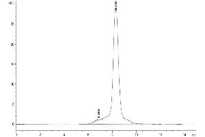 The purity of Canine IL-23R is greater than 95 % as determined by SEC-HPLC. (IL23R Protein (AA 24-354) (His tag))