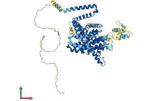 Protein Structure (PS) image for Solute Carrier Family 28 (Sodium-Coupled Nucleoside Transporter), Member 3 (SLC28A3) (AA 1-691) protein (His tag) (ABIN7555301)