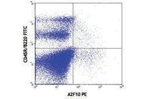 Flow Cytometry (FACS) image for anti-Fms-Related tyrosine Kinase 3 (FLT3) antibody (PE) (ABIN2663014) (FLT3 抗体  (PE))