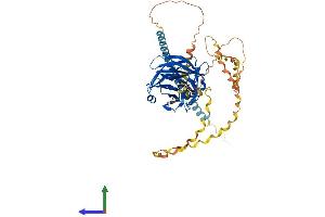 Protein Structure (PS) image for Gliomedin (GLDN) (AA 1-549) protein (His tag) (ABIN7564395)