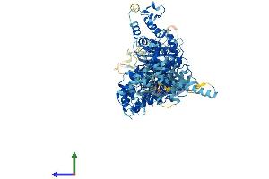 AlphaFold protein structure predicition of Human Recombinant HERC6 Protein, UniprotID Q8IVU3 (HERC6 Protein (AA 1-1022) (His tag))