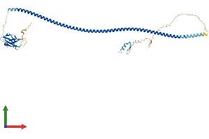 Protein Structure (PS) image for Calcium Binding and Coiled-Coil Domain 2 (CALCOCO2) (AA 1-446) protein (His tag) (ABIN7552794)