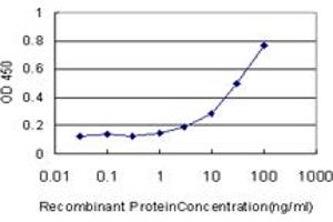 Detection limit for recombinant GST tagged CTSW is approximately 3ng/ml as a capture antibody. (Cathepsin W 抗体  (AA 22-376))