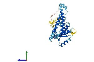 Protein Structure (PS) image for Proteasome (Prosome, Macropain) 26S Subunit, Non-ATPase, 14 (PSMD14) (AA 1-310) protein (His tag) (ABIN7551042)