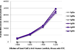 FLISA plate was coated with purified human IgGκ, IgMκ, IgAκ, IgGλ, IgMλ, and IgAλ. (山羊 anti-人 lambda (Chain lambda) Antibody - Preadsorbed)