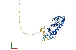 Protein Structure (PS) image for Regulator of G-Protein Signaling 8 (RGS8) (AA 1-180) protein (His tag) (ABIN7551382)