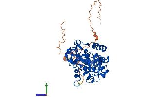 Protein Structure (PS) image for Clavesin 1 (CLVS1) (AA 1-354) protein (His tag) (ABIN7546536)