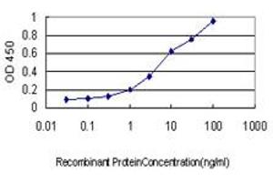 Detection limit for recombinant GST tagged CX3CL1 is approximately 0. (CX3CL1 抗体  (AA 26-135))