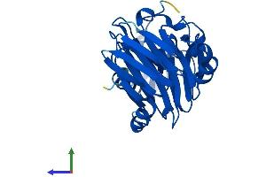 Protein Structure (PS) image for 3-hydroxyanthranilate 3,4-Dioxygenase (HAAO) (AA 1-286) protein (His tag) (ABIN7558173)