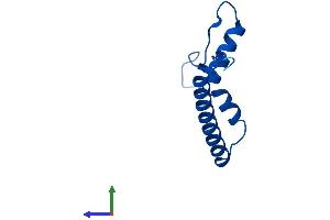 Protein Structure (PS) image for Mitochondrial Ribosomal Protein S21 (MRPS21) (AA 1-87) protein (His tag) (ABIN7556508)