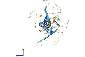 Protein Structure (PS) image for Protein tyrosine Phosphatase, Receptor Type, F Polypeptide (PTPRF), Interacting Protein (Liprin), alpha 4 (PPFIA4) (AA 1-1185) protein (His tag) (ABIN7554425)