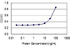 Sandwich ELISA detection sensitivity ranging from 10 ng/mL to 100 ng/mL. (HMBS (人) Matched Antibody Pair)