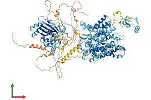 Protein Structure (PS) image for Solute Carrier Family 4, Sodium Bicarbonate Transporter, Member 10 (SLC4A10) (AA 1-1118) protein (His tag) (ABIN7563804)