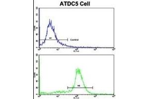 Flow cytometric analysis of ATDC5 cells using NDUFS4 Antibody (C-term)(bottom histogram) compared to a negative control cell (top histogram).