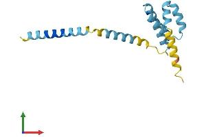 Protein Structure (PS) image for Mitochondrial Import Receptor Subunit TOM20 homolog (TOMM20) (AA 1-145) protein (His tag) (ABIN7544662)