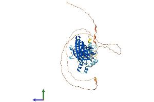 Protein Structure (PS) image for Synaptotagmin Like Protein 1 (SYTL1) (AA 1-562) protein (His tag) (ABIN7544073)
