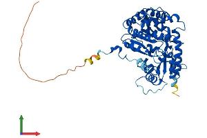Protein Structure (PS) image for Cysteine Conjugate-beta Lyase 2 (CCBL2) (AA 1-454) protein (His tag) (ABIN7548660)