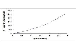 Typical standard curve (VEGFC ELISA 试剂盒)