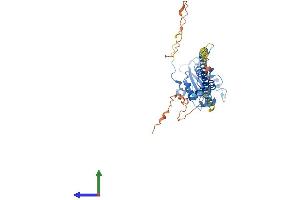 Protein Structure (PS) image for Phosphate Cytidylyltransferase 1, Choline, alpha (PCYT1A) (AA 1-367) protein (His tag) (ABIN7550583)