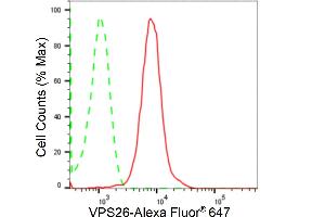 Flow cytometric analysis of VPS26 expression in HepG2 cells using VPS26 antibody (ABIN7800816), 1:2,000).