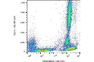 Flow cytometry analysis (surface staining) of human peripheral blood with anti-CD43 (MEM-59) biotin / streptavidin-APC. (CD43 抗体  (Biotin))
