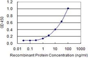 Detection limit for recombinant GST tagged MYO9A is 0. (Myosin IXA 抗体  (AA 719-828))