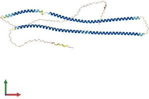 Protein Structure (PS) image for Keratin 35 (KRT35) (AA 1-455) protein (His tag) (ABIN7548769)