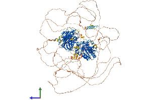 AlphaFold protein structure predicition of Human Recombinant TNS3 Protein, UniprotID Q68CZ2