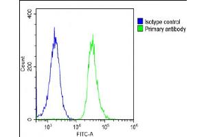 Flow Cytometry (FACS) image for anti-DnaJ (Hsp40) Homolog, Subfamily C, Member 3 (DNAJC3) (AA 189-223) antibody (ABIN6243640)