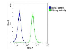 Overlay histogram showing A431 cells stained with (ABIN6243640 and ABIN6578866)(green line). (DNAJC3 抗体  (AA 189-223))