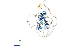 Protein Structure (PS) image for Actin Binding LIM Protein Family, Member 2 (ABLIM2) (AA 1-611) protein (His tag) (ABIN7551798)