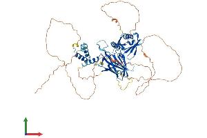 Protein Structure (PS) image for Grainyhead-Like 1 (GRHL1) (AA 1-618) protein (His tag) (ABIN7564845)