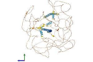 Protein Structure (PS) image for Mastermind-Like 1 (MAML1) (AA 1-1020) protein (His tag) (ABIN7564149)