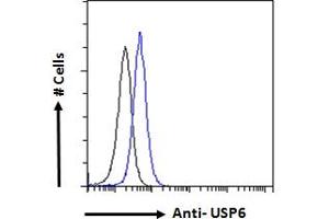 ABIN1019674 Flow cytometric analysis of paraformaldehyde fixed A431 cells (blue line), permeabilized with 0.