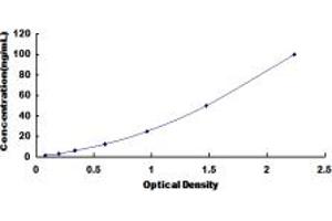 Typical standard curve (VEGFR2/CD309 ELISA 试剂盒)