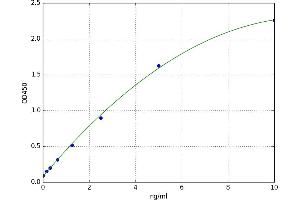 A typical standard curve (BACE1 ELISA 试剂盒)