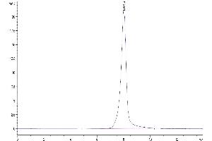 The purity of Biotinylated Human Her3/ErbB3 is greater than 95 % as determined by SEC-HPLC. (ERBB3 Protein (AA 20-643) (His-Avi Tag,Biotin))