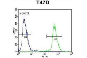 Flow cytometric analysis of T47D cells using NUP210 / GP210 Antibody (N-term) Cat. (NUP210 抗体  (N-Term))