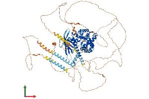 Protein Structure (PS) image for IQ Motif and Sec7 Domain 1 (IQSEC1) (AA 1-961) protein (His tag) (ABIN7564686)
