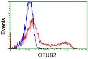 Image no. 2 for anti-OTU Domain, Ubiquitin Aldehyde Binding 2 (OTUB2) antibody (ABIN1499939) (OTUB2 抗体)
