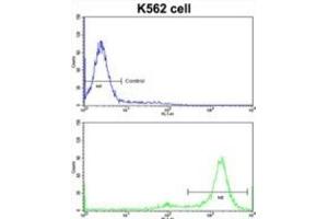 Flow Cytometry (FACS) image for anti-MDM2 Binding Protein (MTBP) antibody (ABIN3002735) (MTBP 抗体)