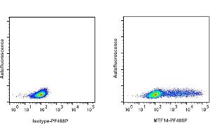 Detection of IFN-ү by flow cytometry in viable ferret spleen cells. (Interferon gamma 抗体  (PromoFluor-488 Premium))