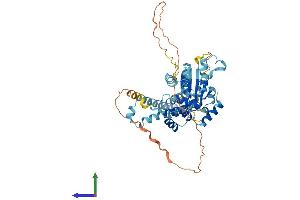 Protein Structure (PS) image for Katanin P60 (ATPase Containing) Subunit A 1 (KATNA1) (AA 1-491) protein (His tag) (ABIN7565233)
