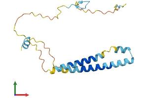 AlphaFold protein structure predicition of Human Recombinant ITGB3BP Protein, UniprotID Q13352