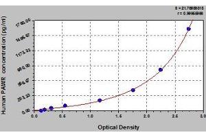 Typical standard curve (PAWR ELISA 试剂盒)