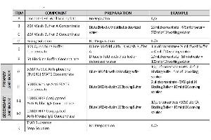 This picture shows the reagent preparation. (STAT6 ELISA 试剂盒)