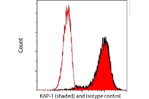 Flow Cytometry (FACS) image for anti-Tripartite Motif Containing 28 (TRIM28) (Ser824) antibody (ABIN7454012) (Recombinant KAP1 抗体  (Ser824))